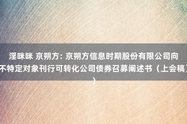 淫咪咪 京朔方: 京朔方信息时期股份有限公司向不特定对象刊行可转化公司债券召募阐述书（上会稿）