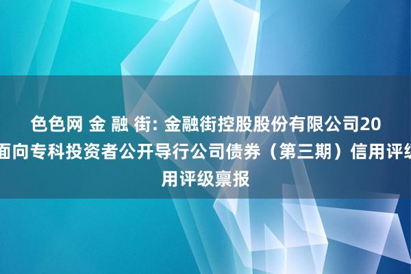 色色网 金 融 街: 金融街控股股份有限公司2024年面向专科投资者公开导行公司债券（第三期）信用评级禀报