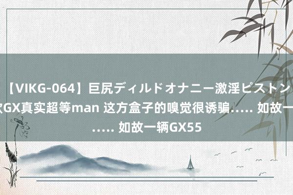 【VIKG-064】巨尻ディルドオナニー激淫ピストン DX 新款GX真实超等man 这方盒子的嗅觉很诱骗….. 如故一辆GX55