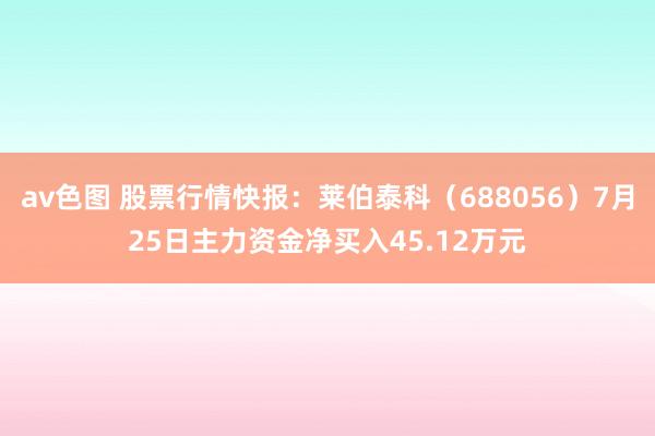 av色图 股票行情快报：莱伯泰科（688056）7月25日主力资金净买入45.12万元