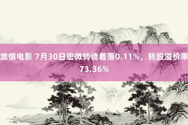 激情电影 7月30日宏微转债着落0.11%，转股溢价率73.36%