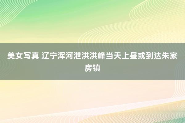 美女写真 辽宁浑河泄洪洪峰当天上昼或到达朱家房镇