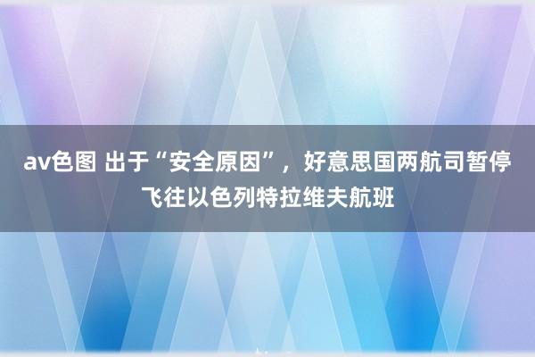 av色图 出于“安全原因”，好意思国两航司暂停飞往以色列特拉维夫航班