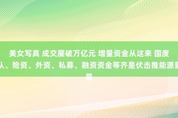 美女写真 成交屡破万亿元 增量资金从这来 国度队、险资、外资、私募、融资资金等齐是伏击推能源量