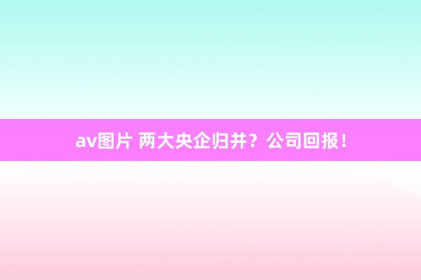 av图片 两大央企归并？公司回报！