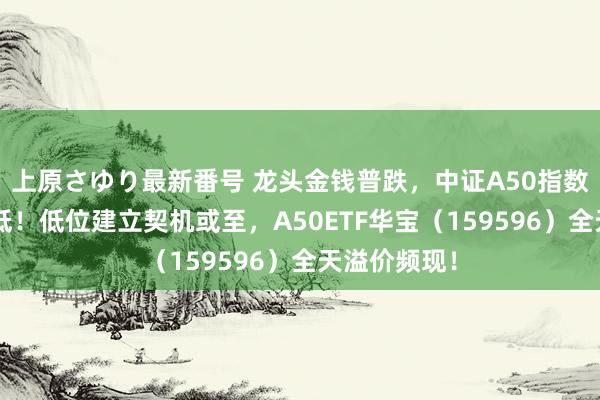 上原さゆり最新番号 龙头金钱普跌，中证A50指数创6个月新低！低位建立契机或至，A50ETF华宝（159596）全天溢价频现！