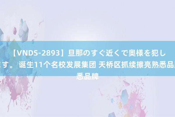 【VNDS-2893】旦那のすぐ近くで奥様を犯します。 诞生11个名校发展集团 天桥区抓续擦亮熟悉品牌