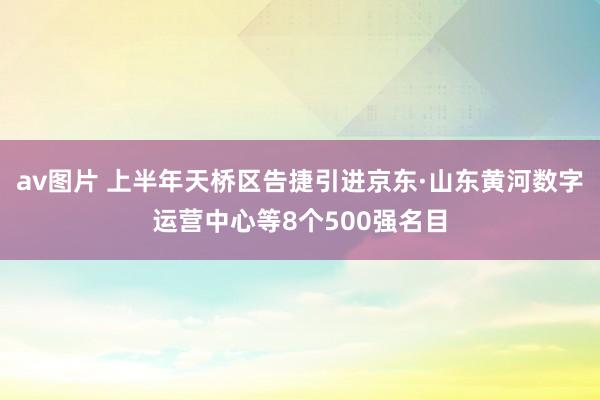 av图片 上半年天桥区告捷引进京东·山东黄河数字运营中心等8个500强名目