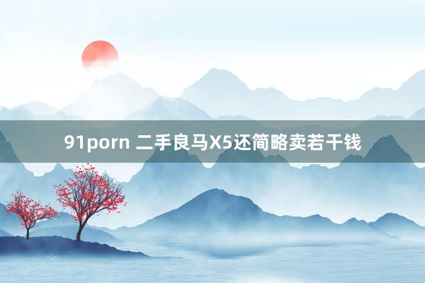 91porn 二手良马X5还简略卖若干钱