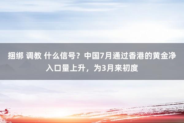 捆绑 调教 什么信号？中国7月通过香港的黄金净入口量上升，为3月来初度