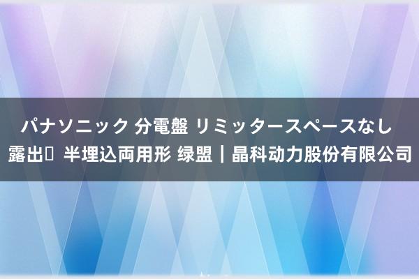 パナソニック 分電盤 リミッタースペースなし 露出・半埋込両用形 绿盟｜晶科动力股份有限公司