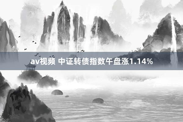 av视频 中证转债指数午盘涨1.14%